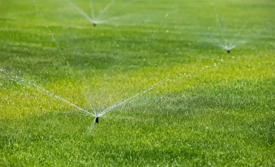 Tuin aanleggen? Laat meteen een waterput slaan! - gazon sproeien