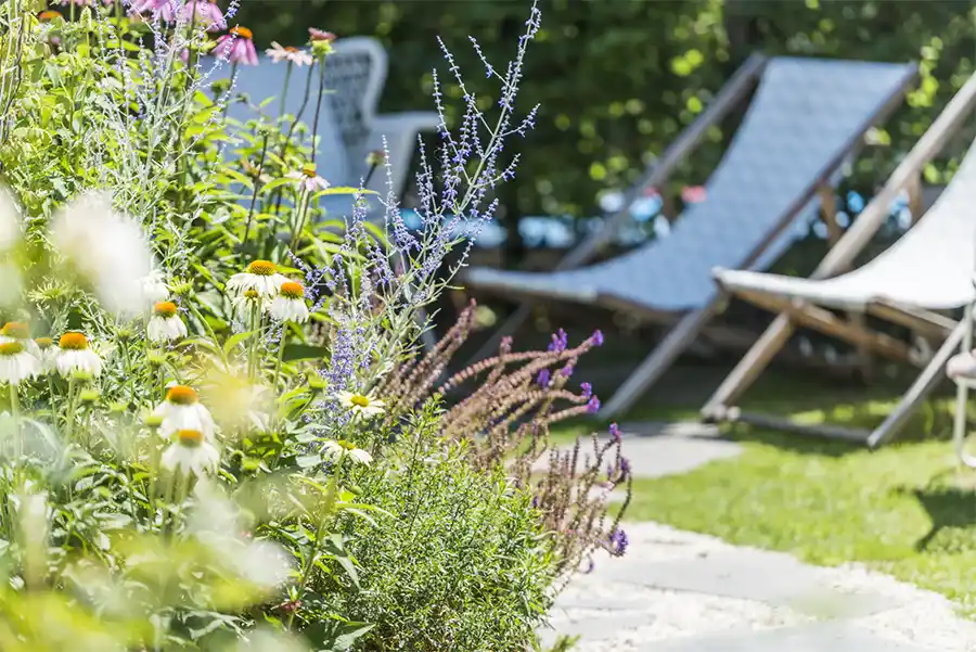 Meer dan gras: Vlaming maakt van zijn tuin een leefplek op maat