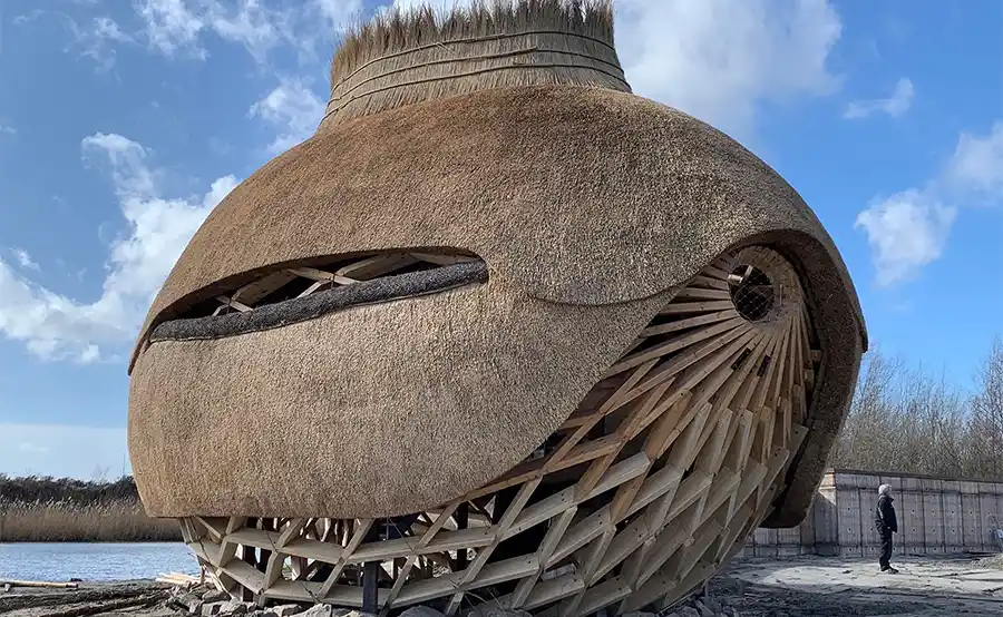 Houten vogelobservatorium Tij vormt architecturaal hoogstandje aan het Haringvliet