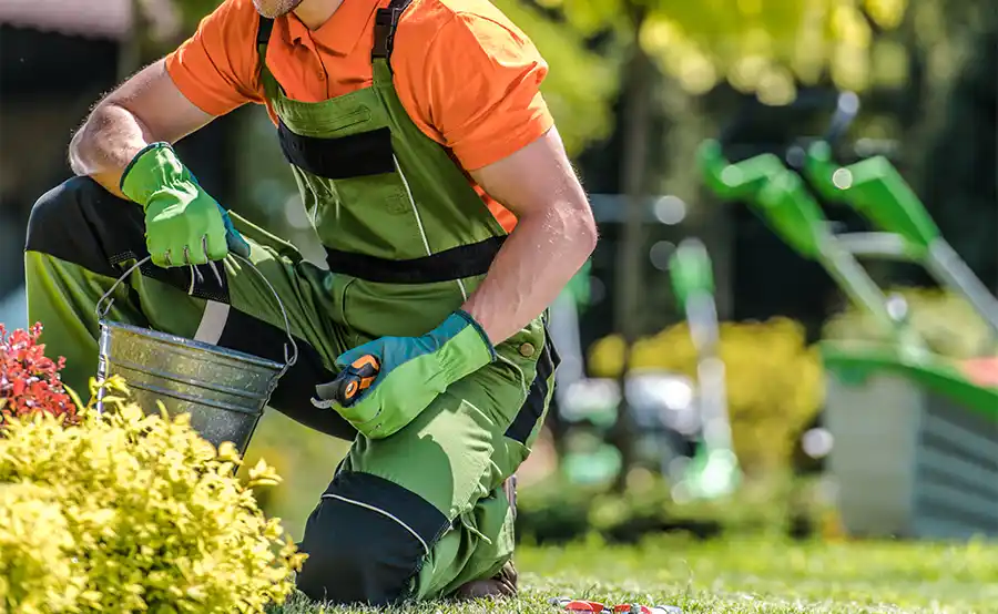 Tuintips voor juni: zo houd je je tuin gezond en stralend