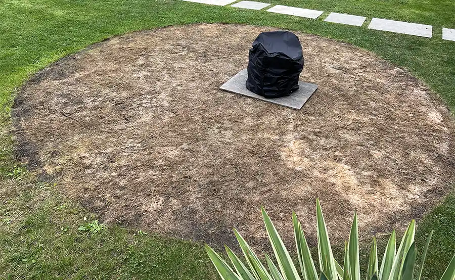 Tips van experts om je gazon te beschermen tegen de zomerhitte