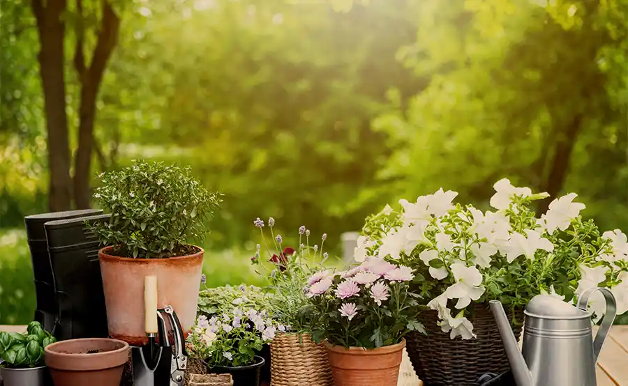 Zo geniet je van een gezonde tuin in zomerse temperaturen