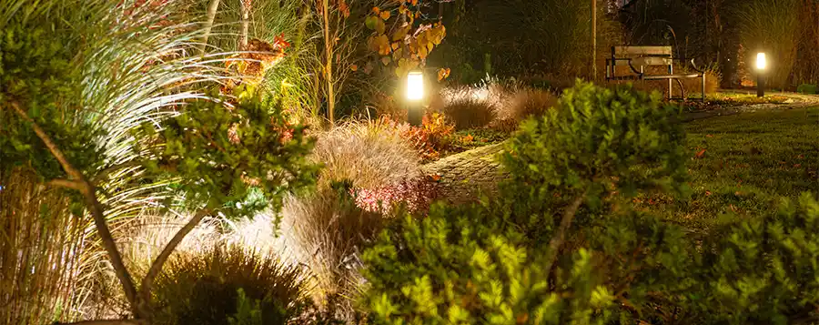 6 tips die jouw achtertuin gelijk een stuk mooier maken!