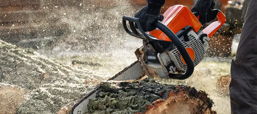 Van boom tot bouwproject: de kunst van houtbewerking: kettingzaag