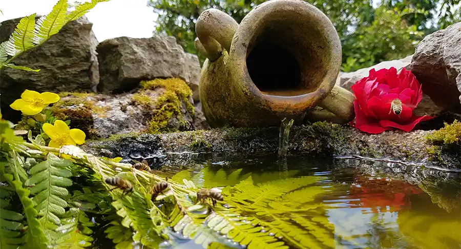 Laatste tuintips voor juni: zo haal je het beste uit je zomerse tuin