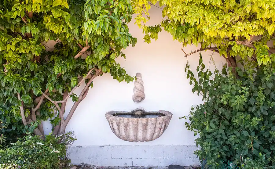 Wat je moet weten om een mediterrane tuin aan te leggen