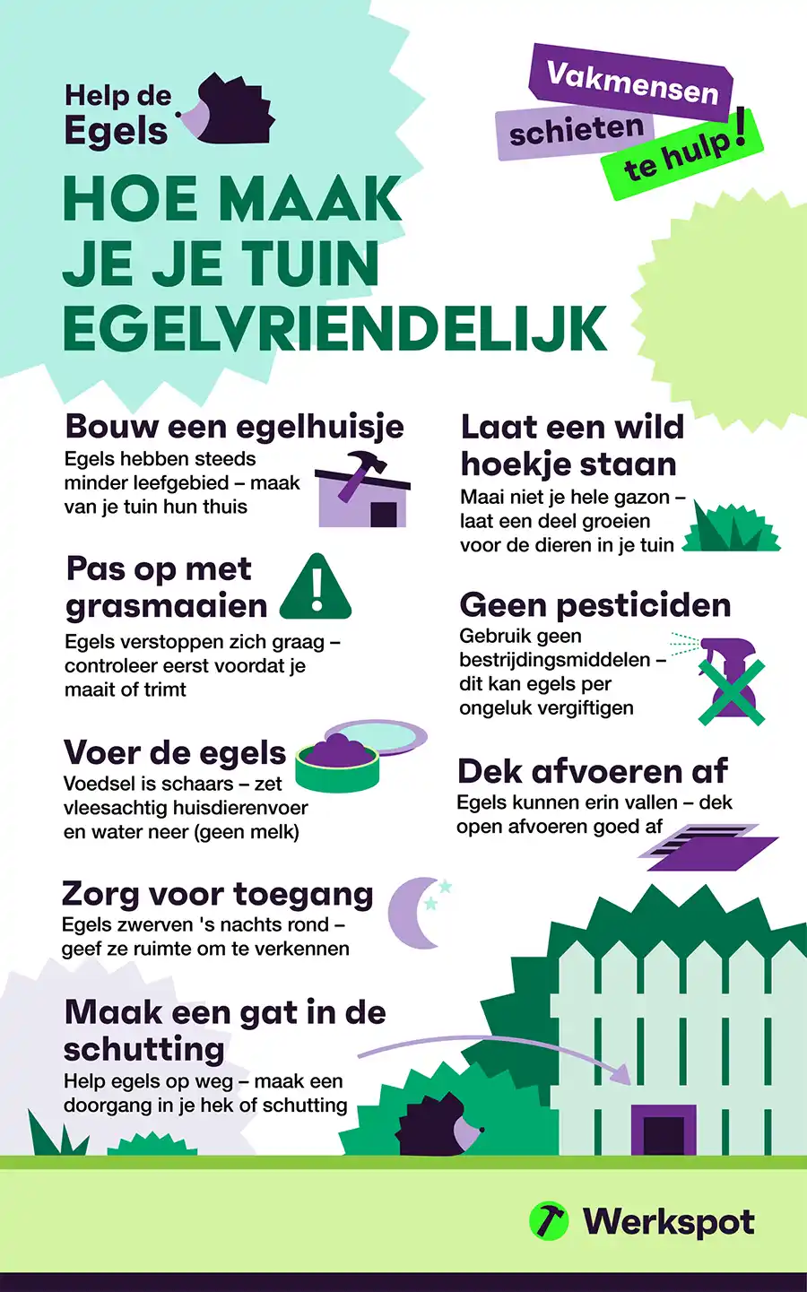 Egelvriendelijke tuin maken? Dit is wat vakmensen aanraden