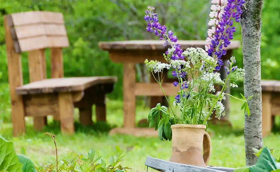 Tuintips voor eind juli en begin augustus