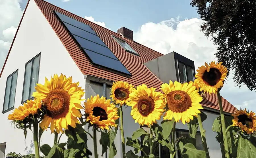 Zonnepanelen en  warmtepomp: een onmisbare combo?