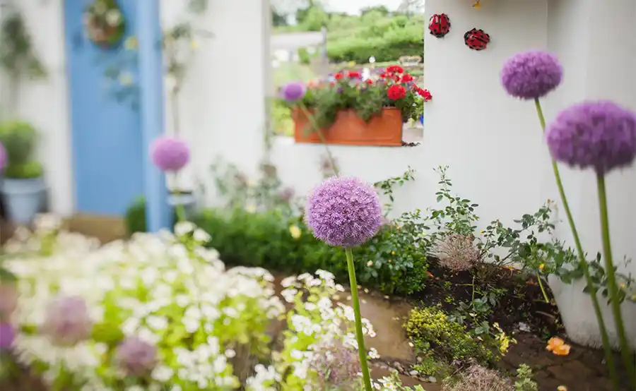 Tuintips voor de tweede week van augustus: zo overleeft je tuin de hitte
