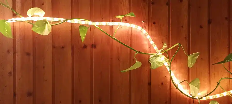 Waterdichte ledstrip verlichting in de tuin