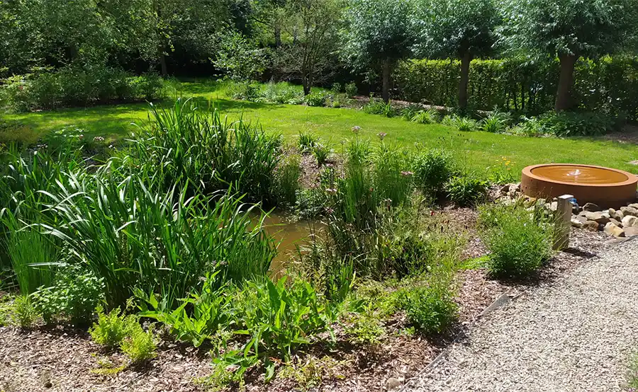 De wadi is steeds populairder in Vlaamse tuinen