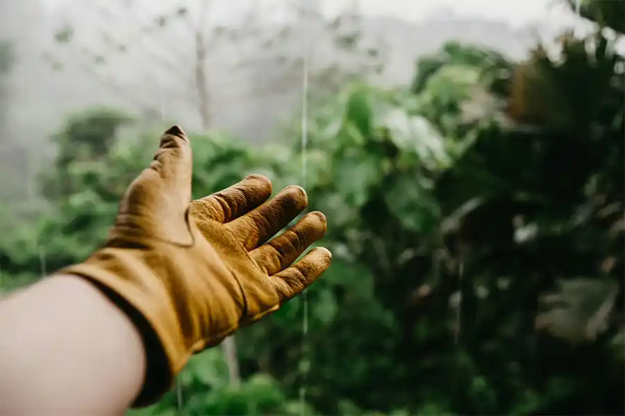 Het regenwater moeten we op een natuurlijike manier opvangen