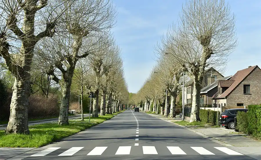 Wonen in een dreef of laan kost je gemiddeld 6% meer