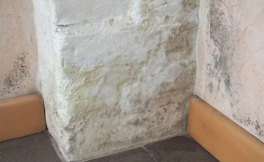 Eén op vier Belgische gezinnen kampt met vochtproblemen in huis