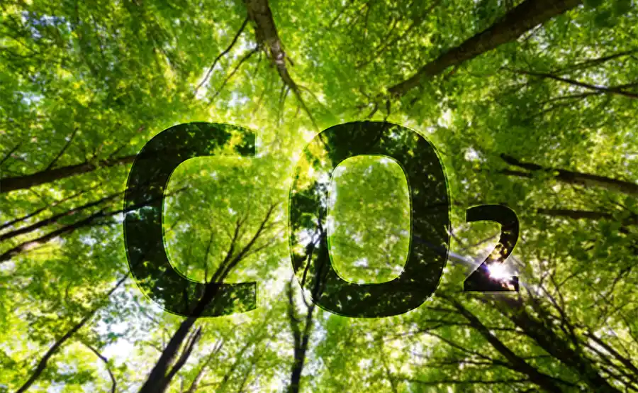 Wereldhave Belgium versnelt CO₂-reductie met ambitieuze duurzaamheidsstrategie