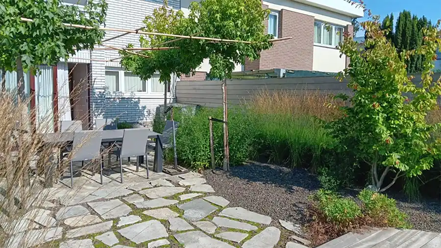 Bomen kiezen voor de toekomst: klimaat en bodem bepalen succes