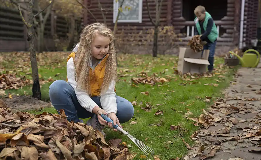 Tuinieren in oktober: zo gebruik je bladeren, stekken en een insectenhotel