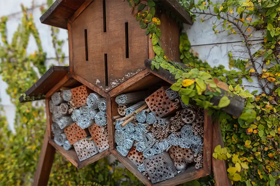 insectenhotel 