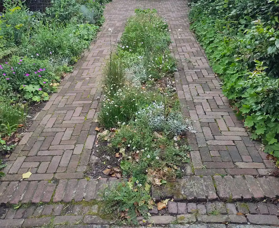 Maak van je tuin een winterparadijs voor dieren en insecten