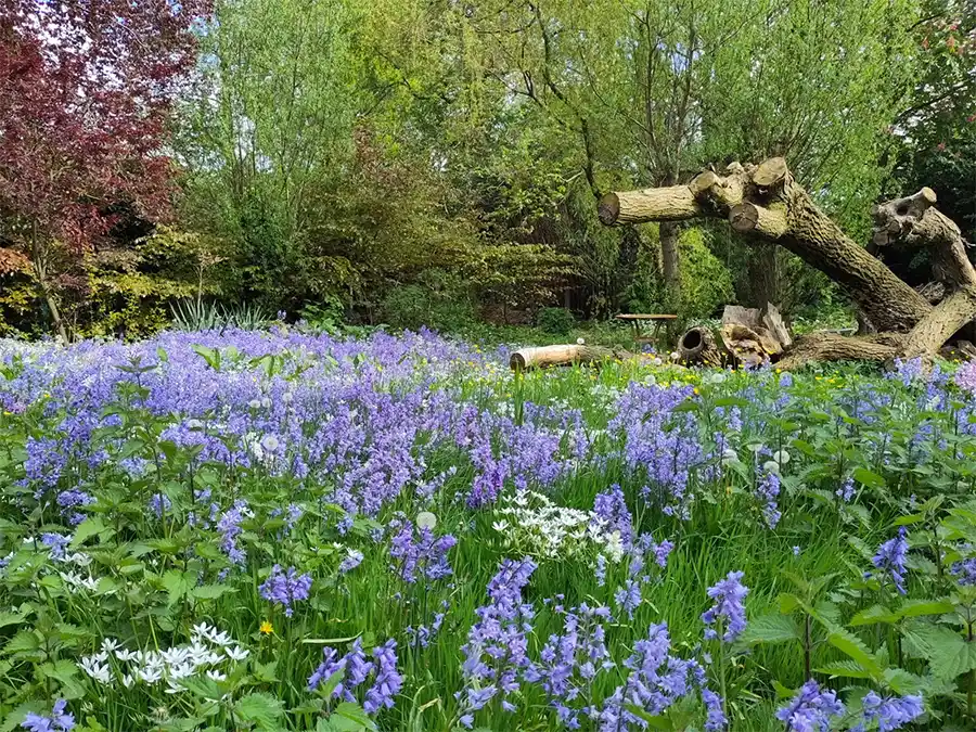 Maak van je tuin een winterparadijs voor dieren en insecten