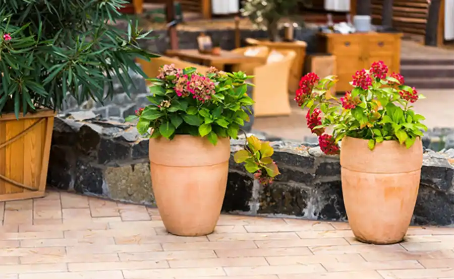 Waarom hebben plantenbakken gaten? (En hoe zorg je voor de beste drainage?)