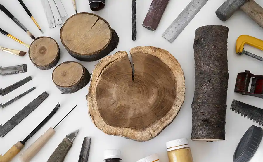 Ontdek de wereld van gereedschappen en houtsoorten