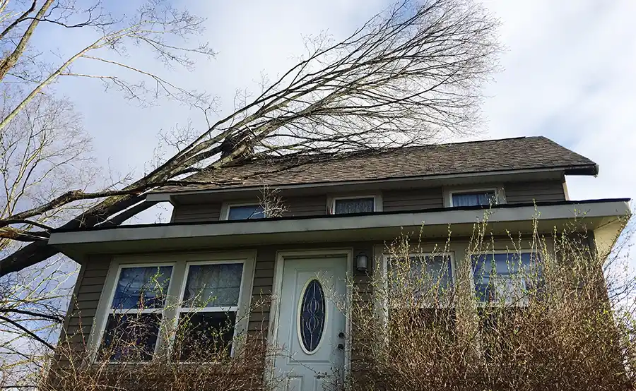 Voorbereid op extreem weer: zo bescherm je je woning tegen schade