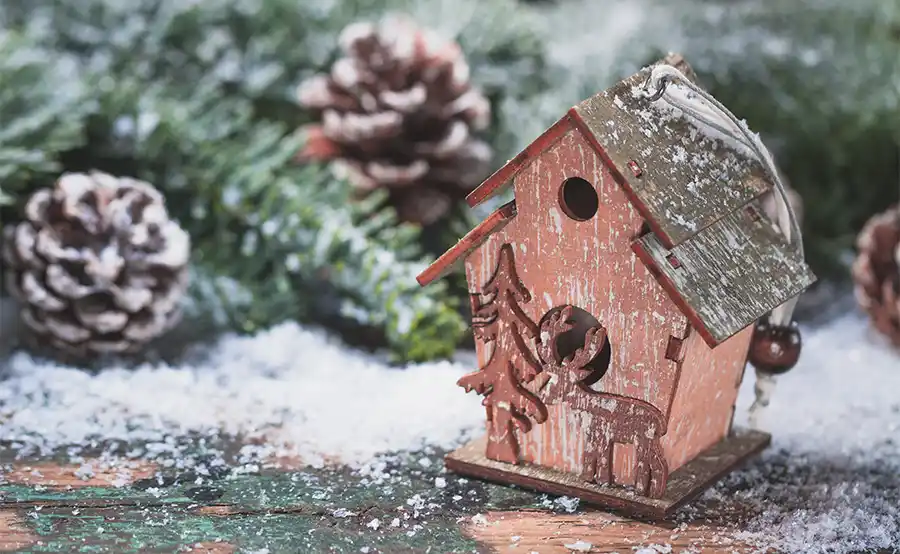 Praktische tuintips voor de derde week van december