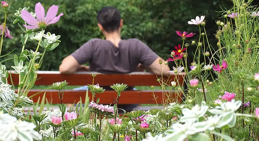 Zo creëer je een ultieme relaxplek in je eigen tuin