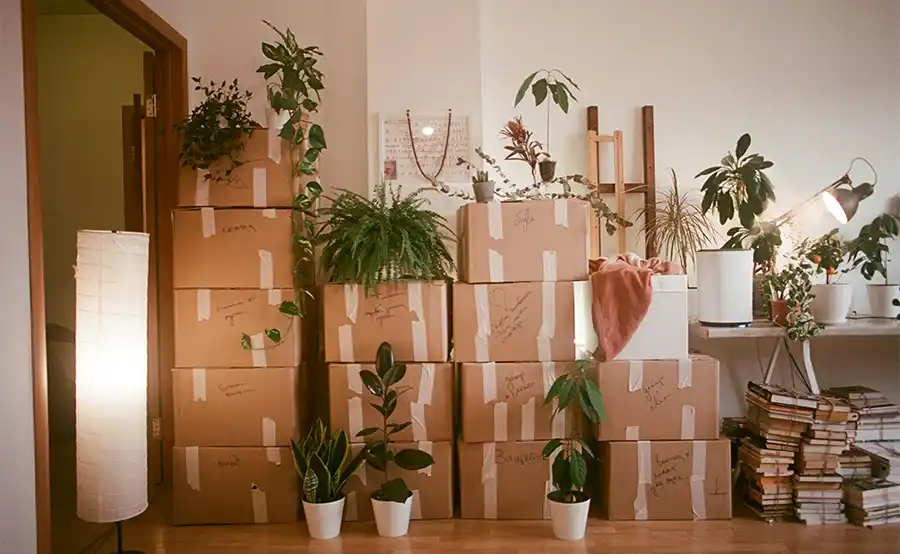 De opkomst van de autoluwe stad: Wat betekent dit voor jouw verhuizing?