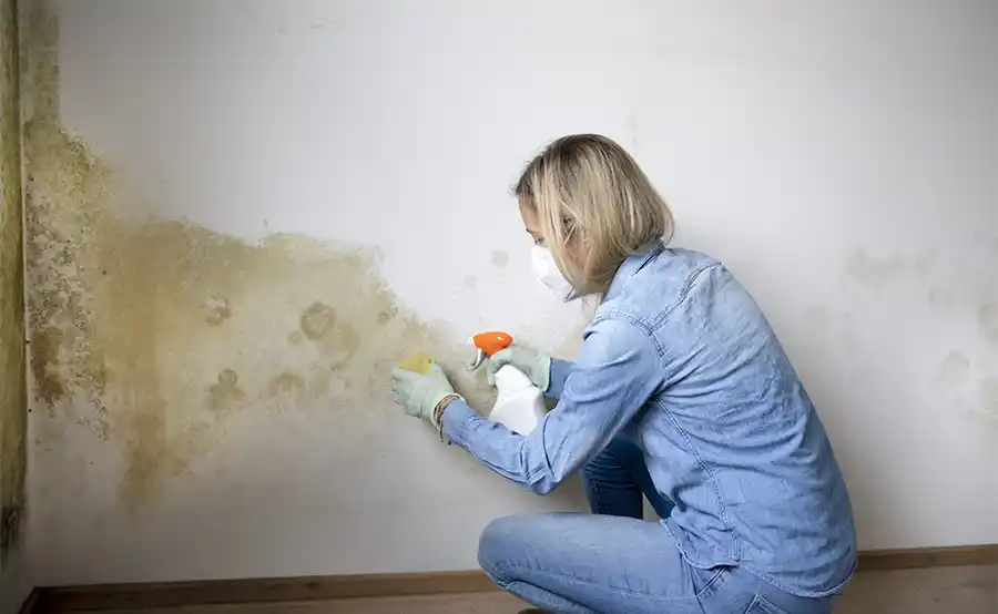 Een simpele Duitse truc houdt schimmel deze winter buiten de deur