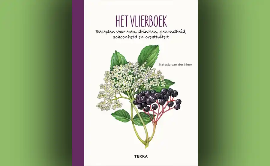 Nieuw boek toont de veelzijdigheid van de vlier in keuken, tuin en huis