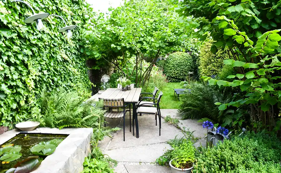 Slim omgaan met regenwater: nieuwe regels bieden kansen voor tuinen