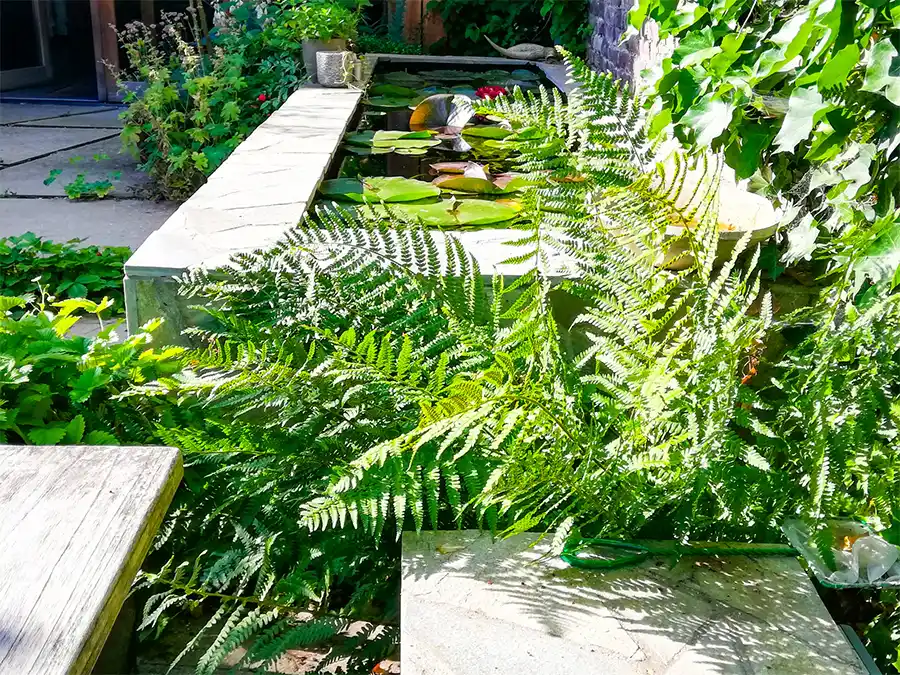 Slim omgaan met regenwater in de tuin