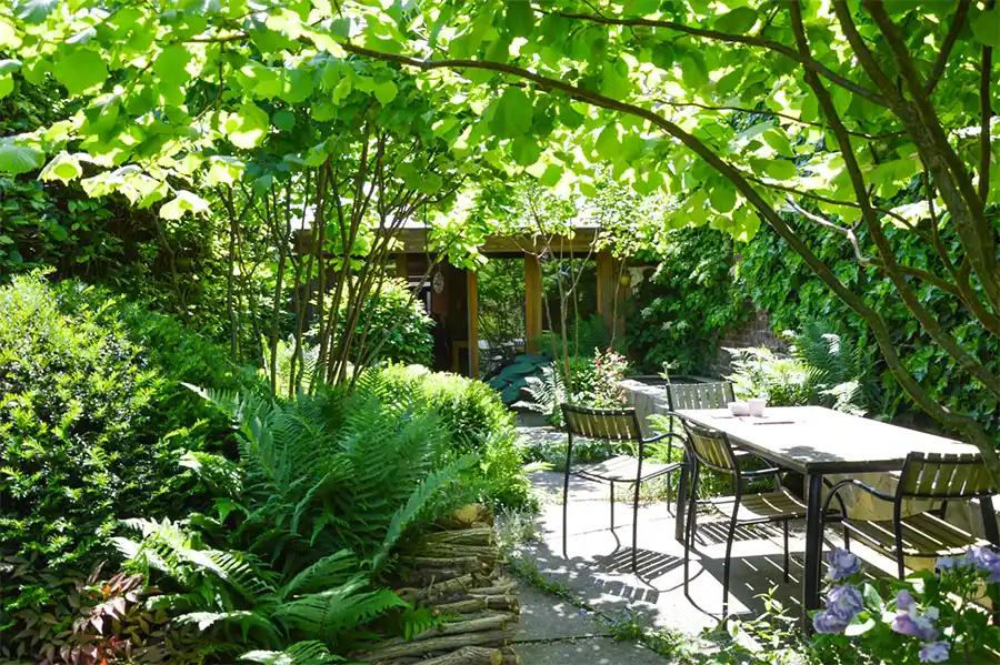 Slim omgaan met regenwater in de tuin