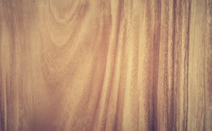 Zo verleng je de levensduur van houten woonoplossingen