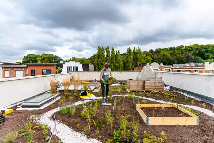 klimaatdaken in Antwerpen