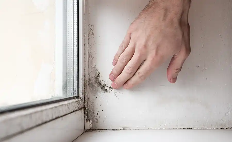 Vochtproblemen in gebouwen opsporen: moderne meetmethoden zonder schade