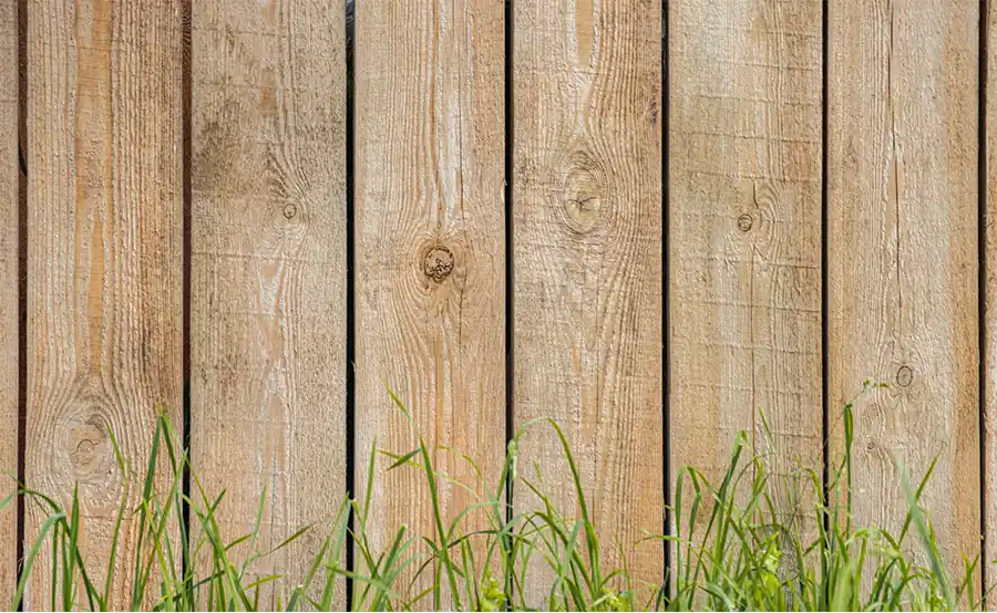 Welke schutting past het best bij jouw tuin en bodemtype?