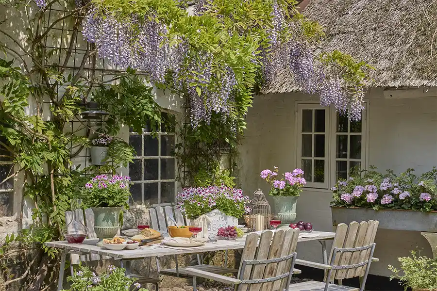 geraniums op jouw tuintafel