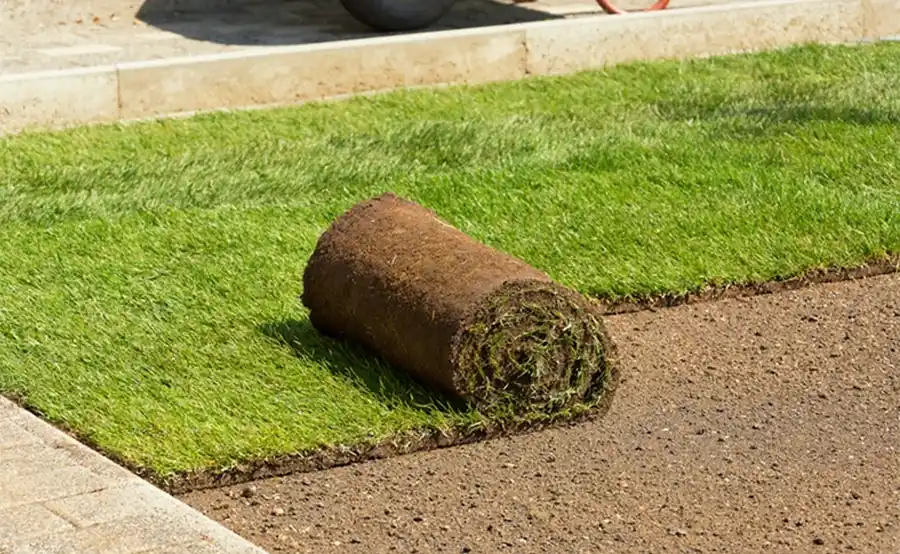 Binnen een dag een strak gazon met professioneel gelegde graszoden