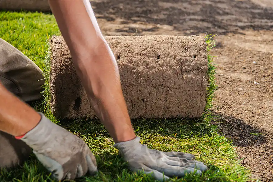 zelf graszoden leggen