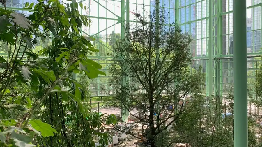 Het Brusselse project ZIN