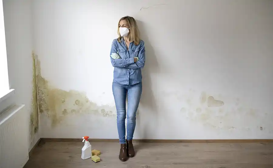 Schimmel op de muur aanpakken zonder giswerk