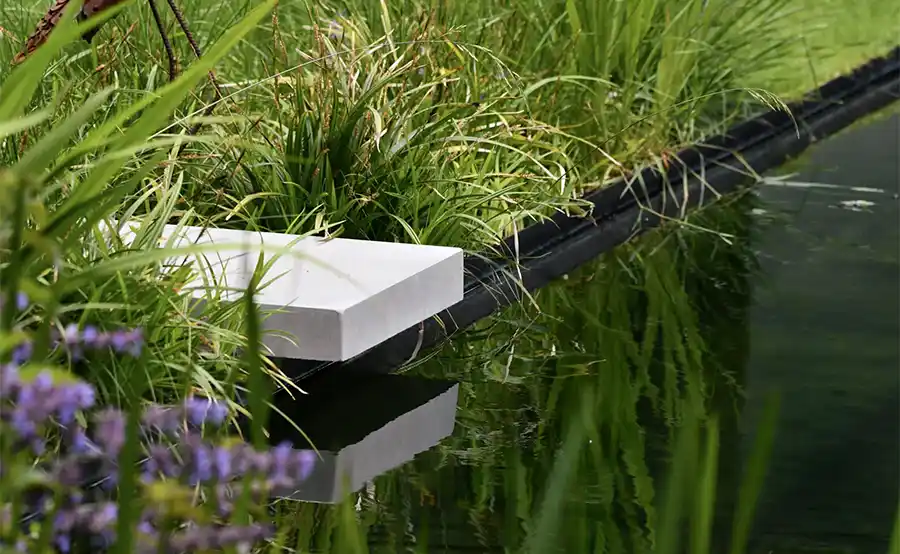De zwemvijver wordt het hart van de levende tuin