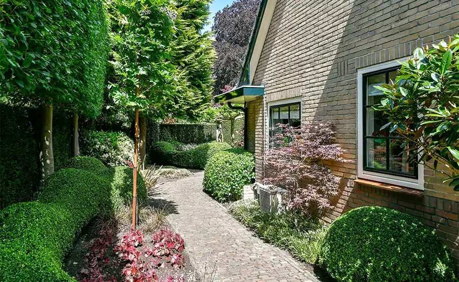 Meer groen rondom je woning: zo creëer je een natuurlijke buitenruimte