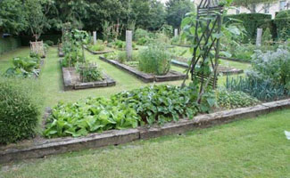 Tuintips voor de derde week van juli