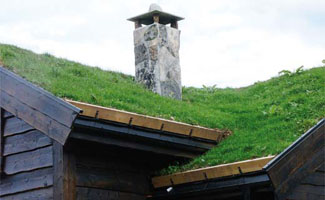 Een groendak zorgt voor een frisse en ecologische woning