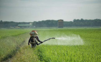 Moeten wij ons zorgen maken over pesticiden in het kraanwater?